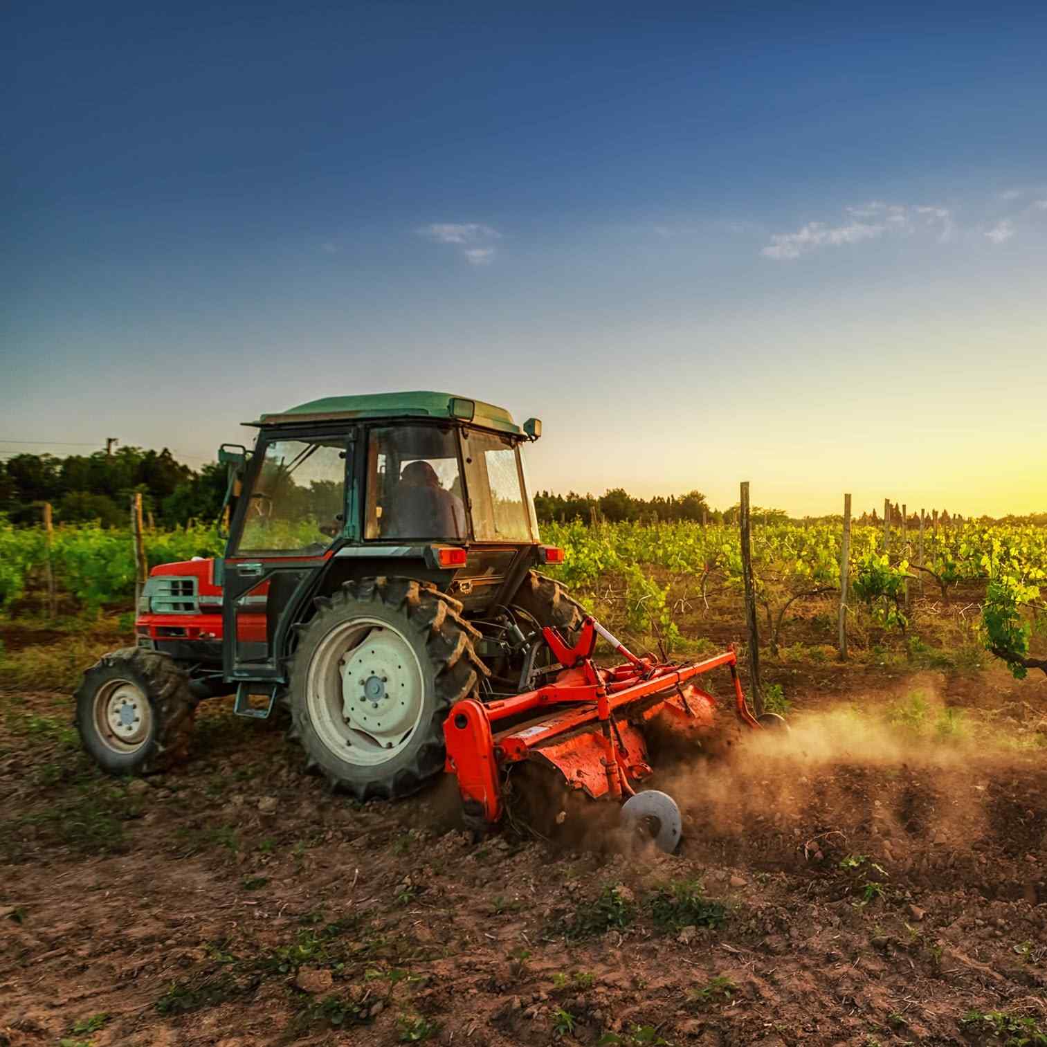 Fertilizer Week
