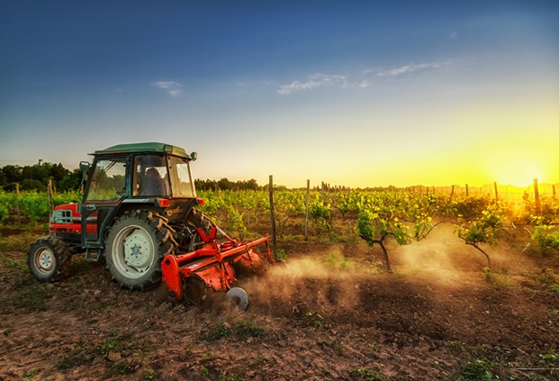 Iran war risks global food shock as fertiliser supplies cut
