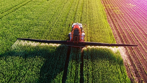 Russia reaps fertiliser windfall from Iran war
